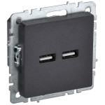 Розетка USB двойная IEK Brite A+A 5В 3,1А черный, IEK