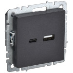 Розетка USB двойная IEK Brite A+C 18Вт черный, IEK
